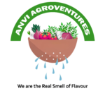 anviagroventures.com