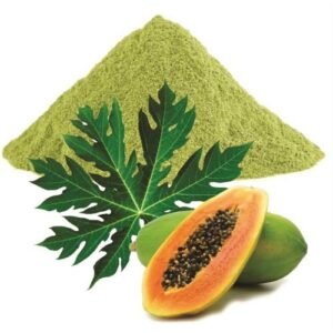 Papaya Leaf Powder